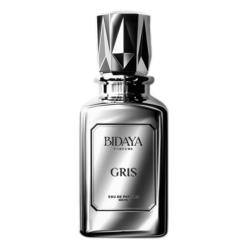 BIDAYA GRIS PARFUM MEN 100ML 397530